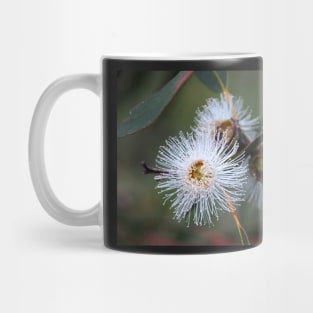 Gum Tree Flower by South Australian artist Avril Thomas Mug